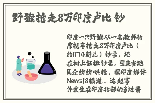 最新海角视频解析脚本